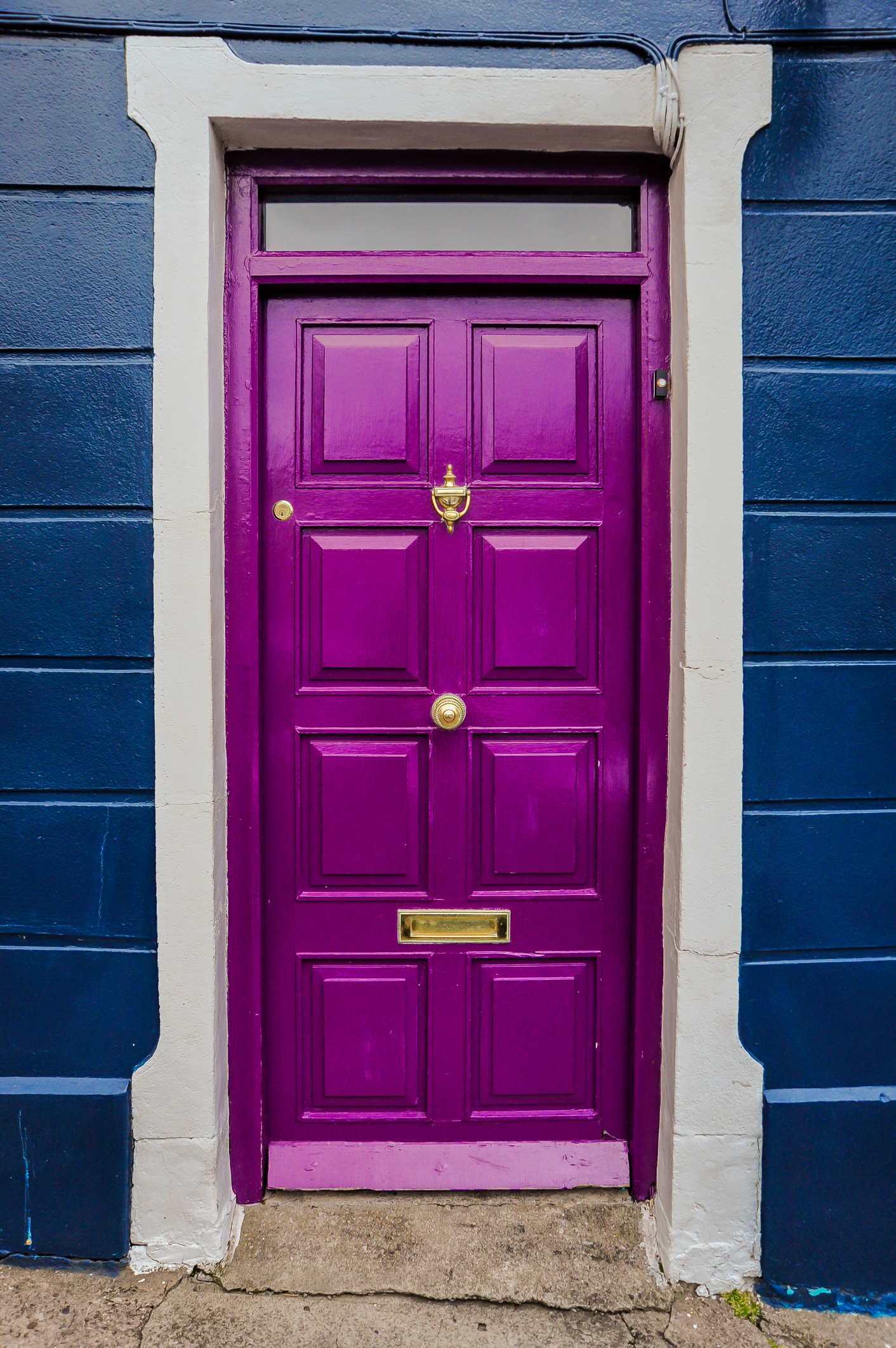 purple door 101354724